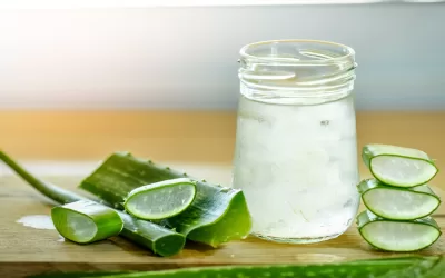 Aloe Vera: El secreto natural para un cabello saludable