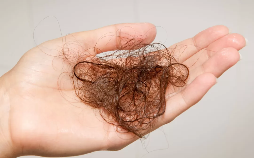 Triphala y fenogreco para la caída del cabello: una combinación natural y efectiva