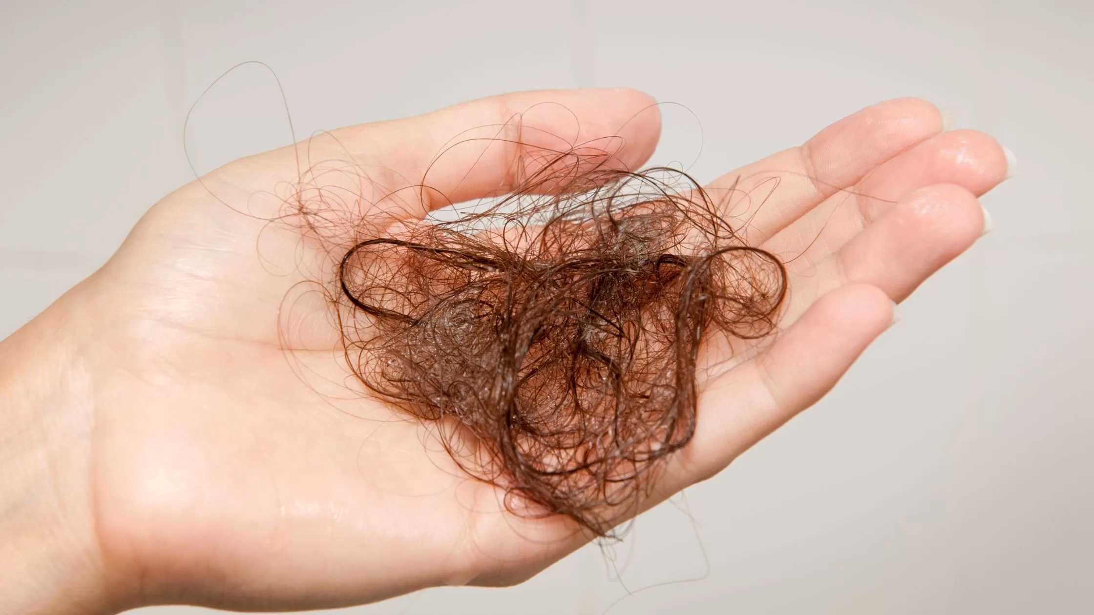 Triphala y fenogreco para la caída del cabello