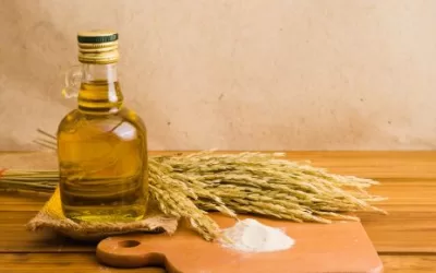 Aceites vegetales para el cabello en verano: el imprescindible de tu rutina capilar