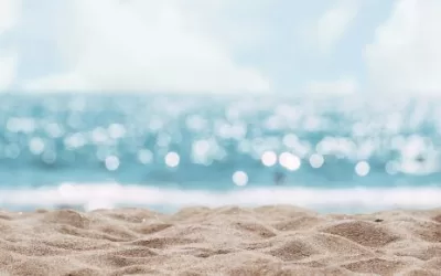 Cómo recuperar tu cabello después del verano: guía natural para devolverle la vida