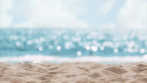 recuperar el cabello después del verano